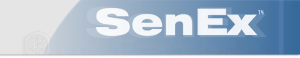 SenEx Sensory Neuro Association Exercise System